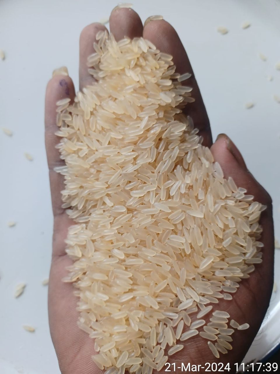 IR64 parboiled rice